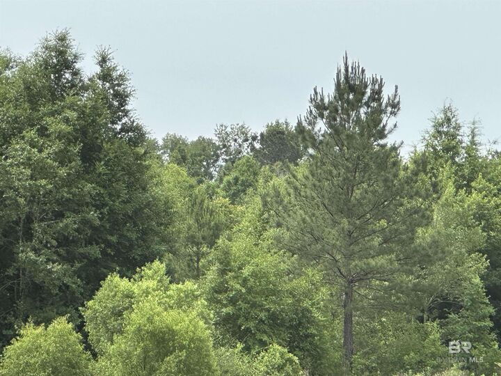 Property Photo:  0 E County Road 54  AL 36526 