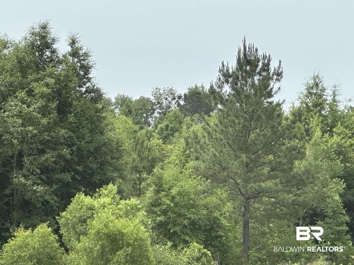 Property Photo: 0 E County Road 54 AL 36526