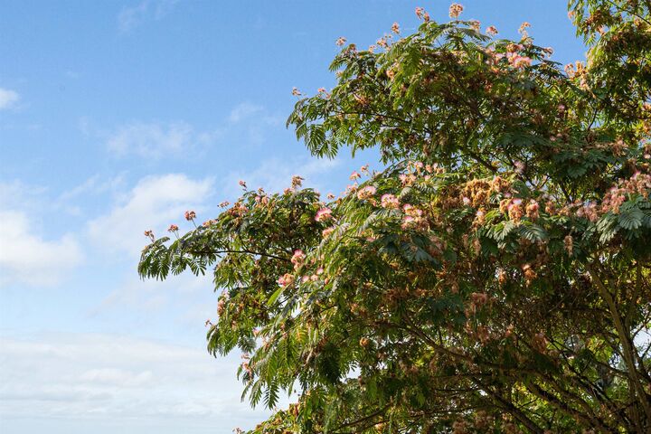 Property Photo:  1240 Nepal Crescent  BC V7T 2H3 