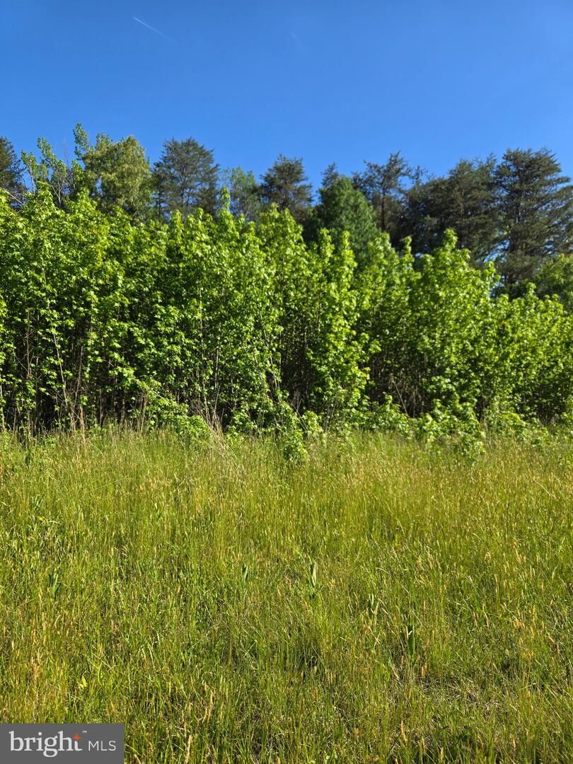 Property Photo:  4336 Massaponax Church Road  VA 22408 