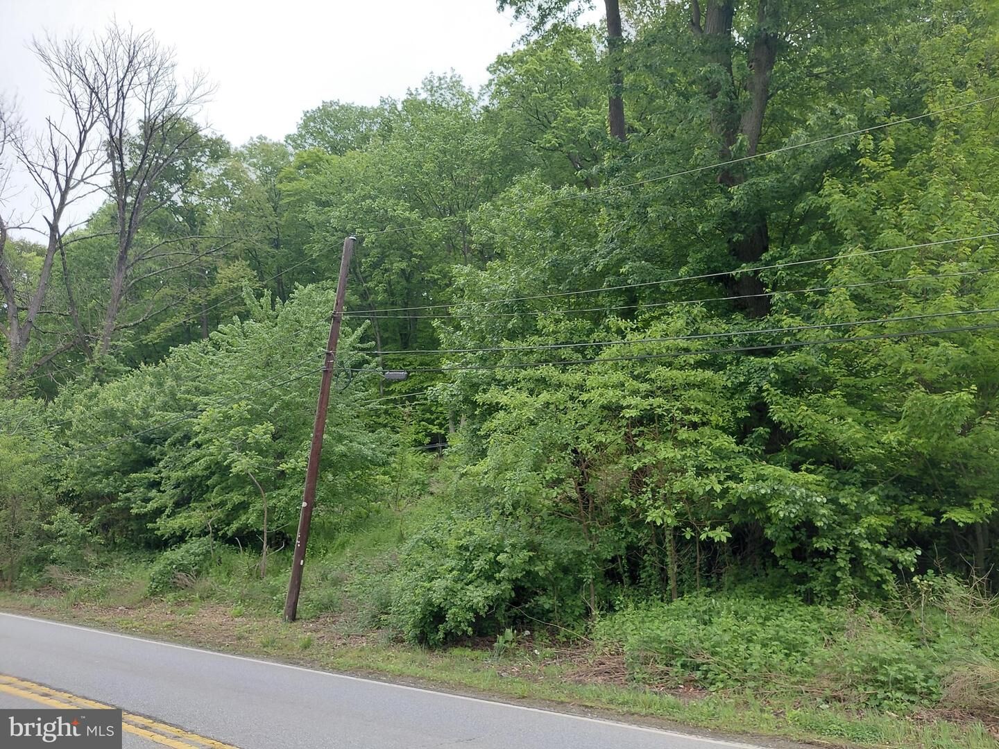 Property Photo:  115 Pennell Road  PA 19063 
