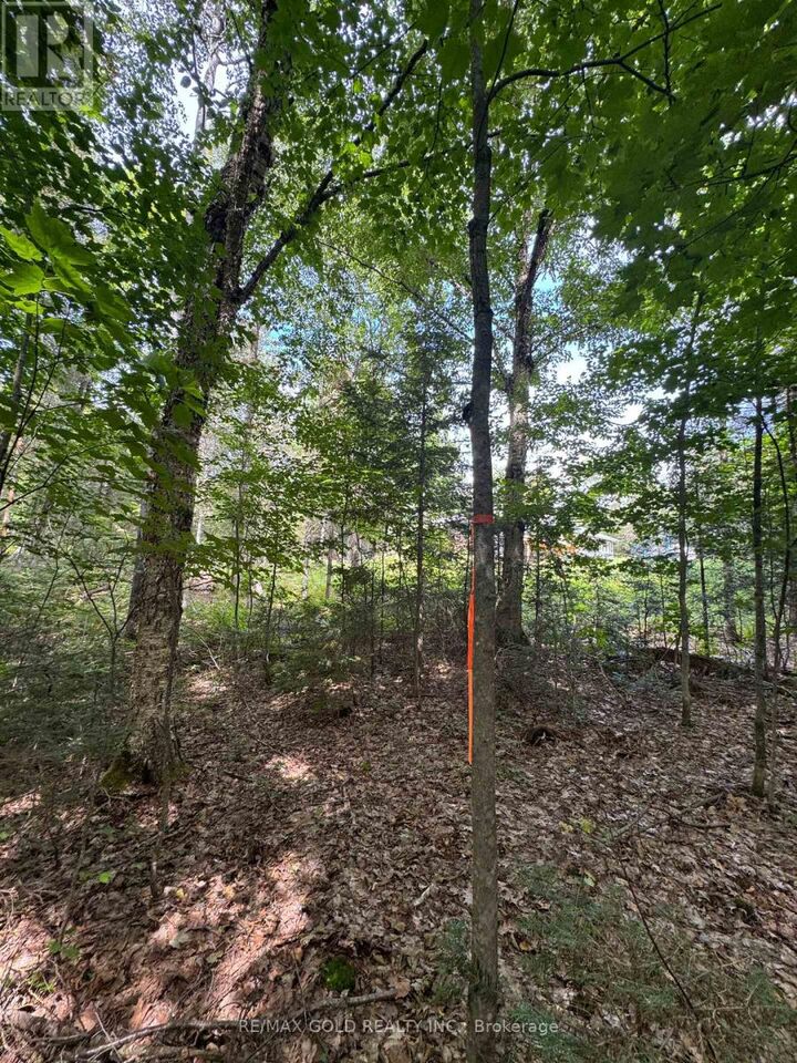 Property Photo:  1791 Alsace Road  ON P0H 1Z0 