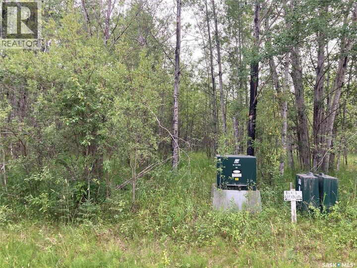 Property Photo:  10 Acre Delaronde Lake Acreage  SK S0J 0E0 