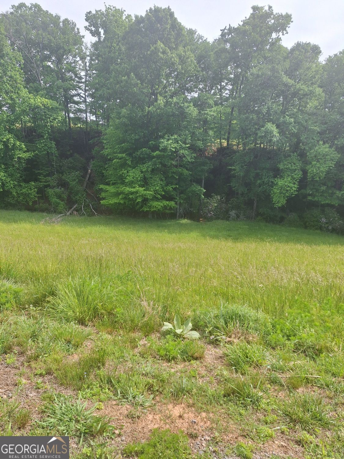 Property Photo:  Lot 67 Hillside Court  GA 30560 
