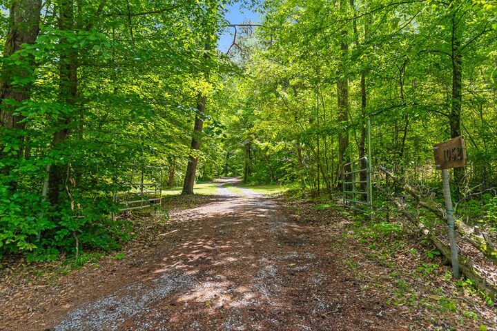 Property Photo:  1052 County Road 332  AL 35765 