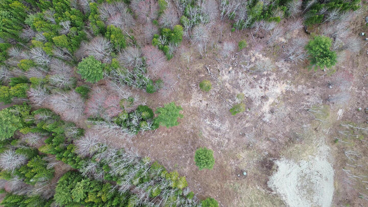 Property Photo:  Lot 17 Bailey Mountain Road  ME 04634 