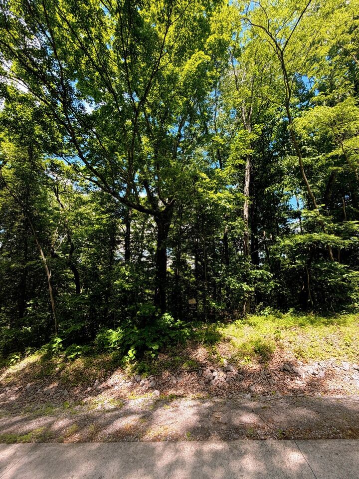 Property Photo:  33 Swiper Dr  TN 37166 