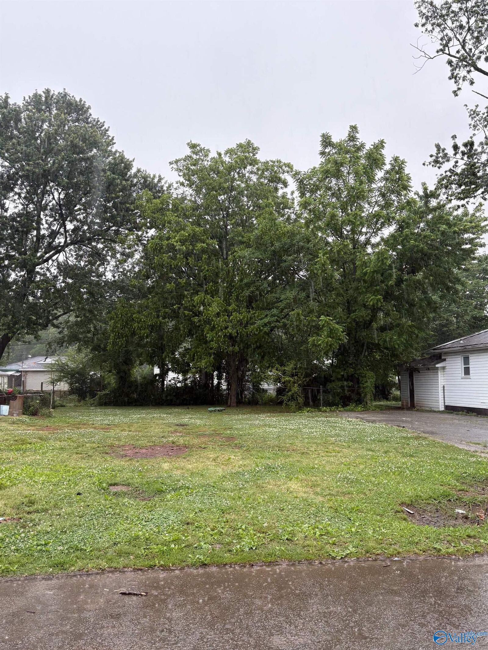 Property Photo:  1207 Broadus Avenue SE  AL 35601 