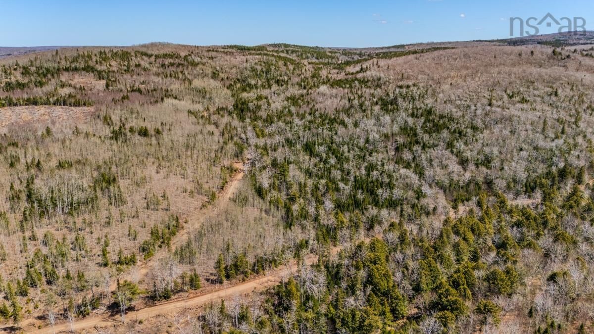 Property Photo:  Lots Barneys River East Side Road  NS B0K 1A0 