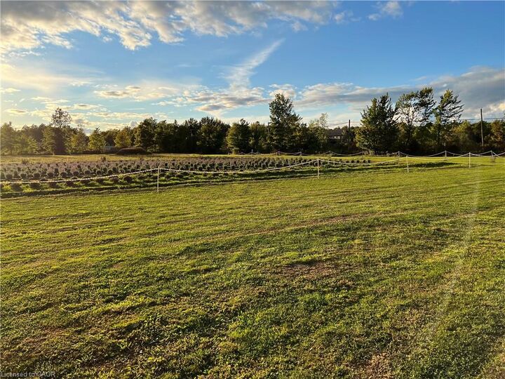 Property Photo:  3359 Third Concession Road  ON L3K 5V5 