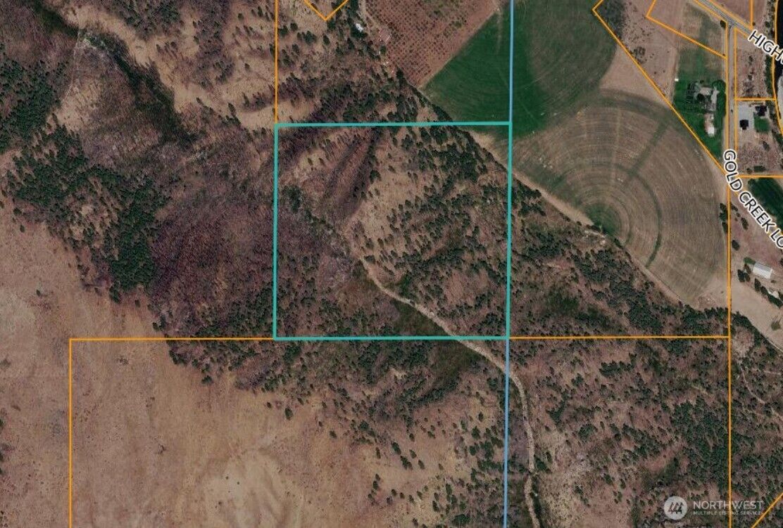 Property Photo:  0  Highway 153  WA 98814 