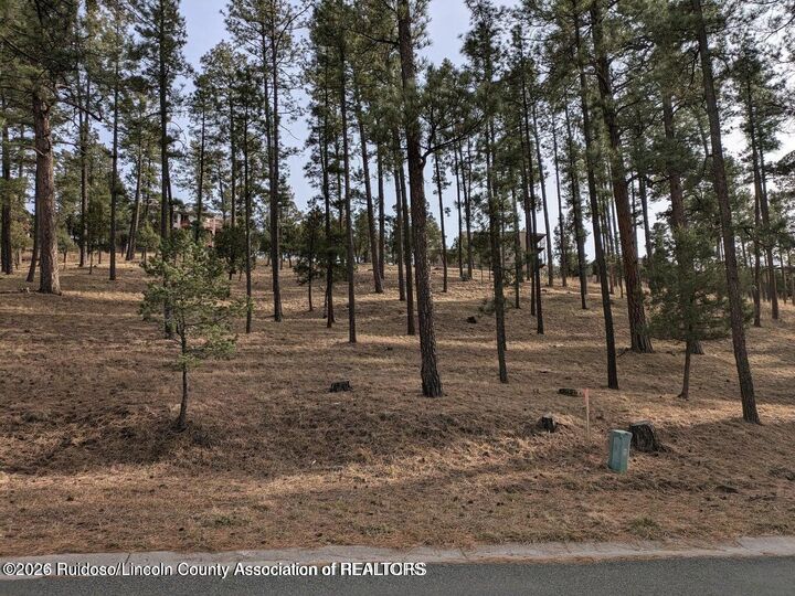Property Photo:  320 White Mountain Meadows Drive  NM 88345 