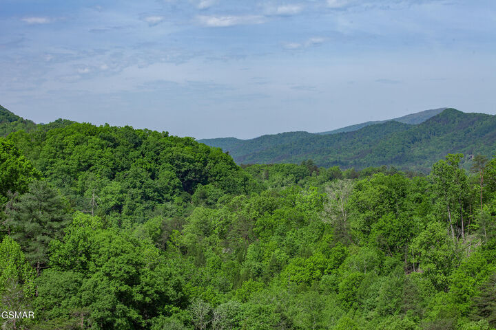 Property Photo:  2344 Coopers Hawk Way  TN 37862 
