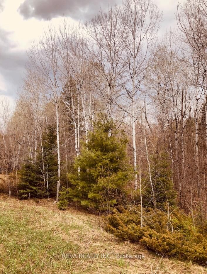 Property Photo: 384 Matawatchan Road ON K0H 1K0