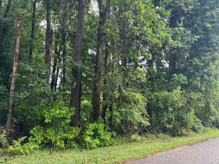 Property Photo:  0 Cashen Drive  FL 32034 