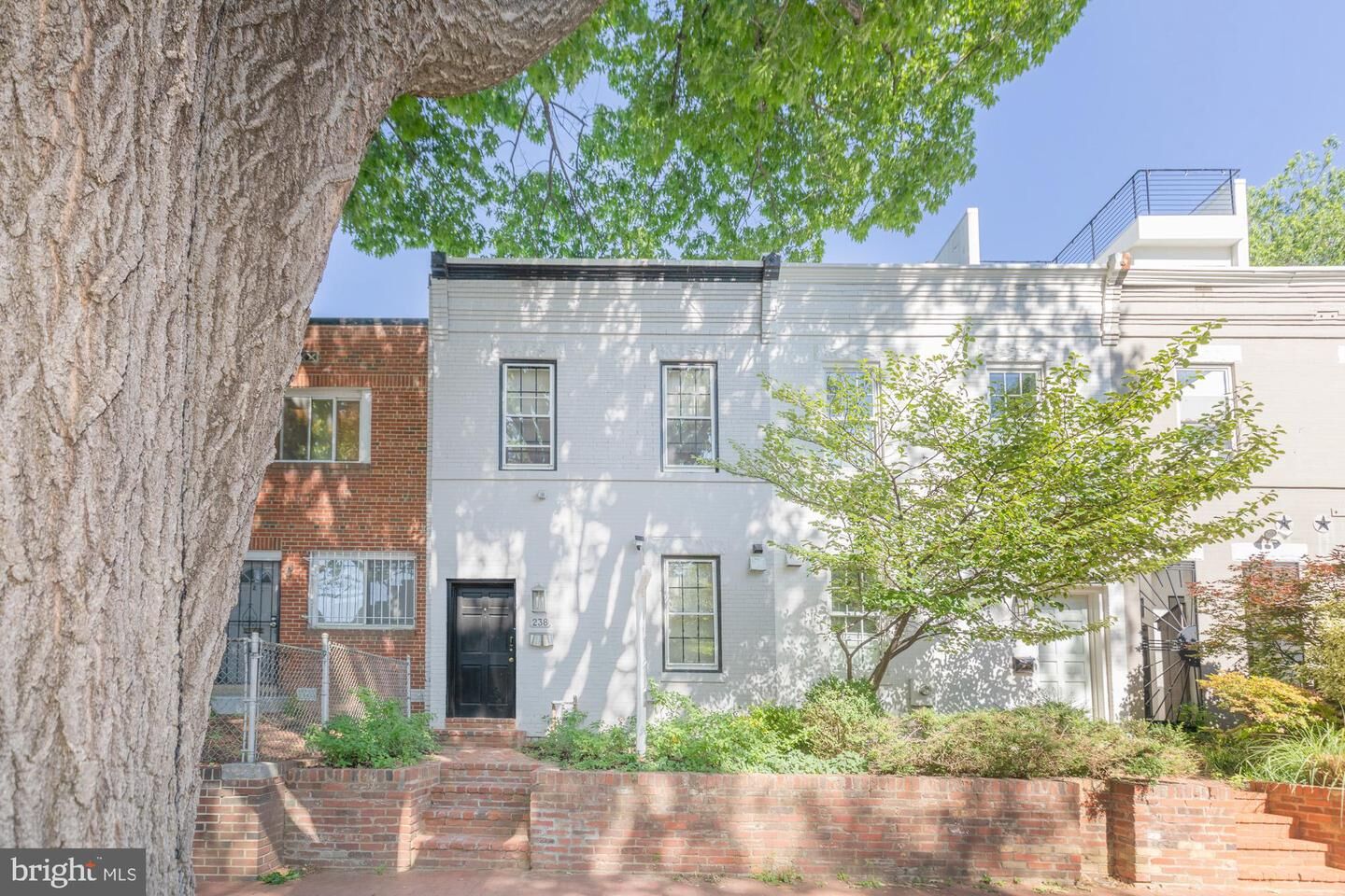 Property Photo:  238 14th Street SE  DC 20003 