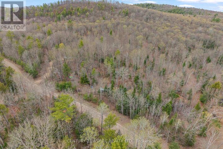 11066 Opeongo Road — photo 1
