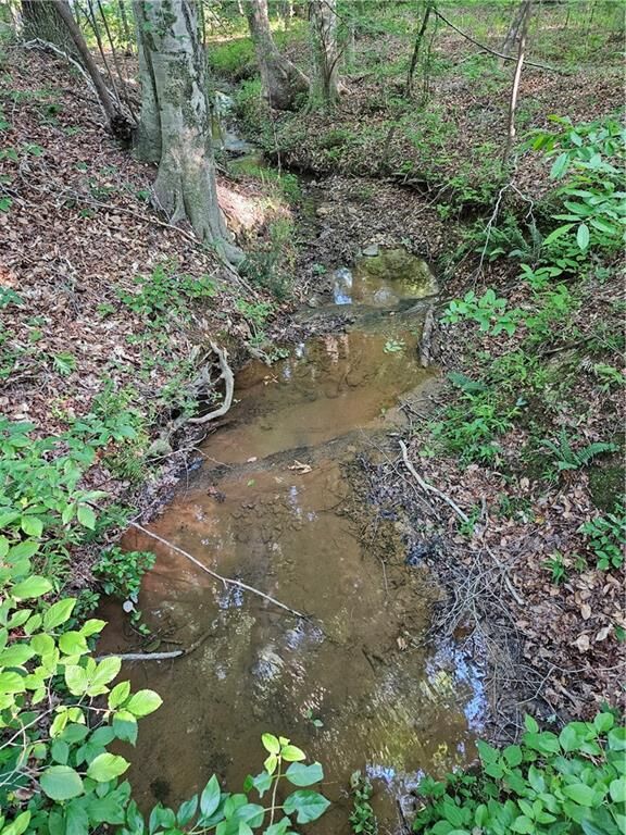 Property Photo:  0 Ponderosa Trail  GA 30132 
