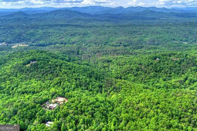 Property Photo:  28.4 Ac Black Dog Trail  GA 30513 