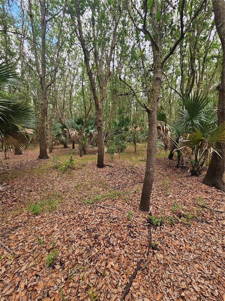 Property Photo:  601 Howard Avenue  FL 32765 