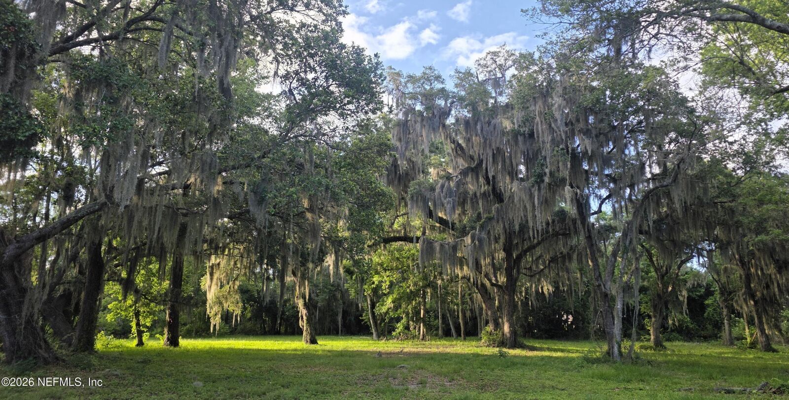Property Photo:  95 Walter Way  FL 32082 