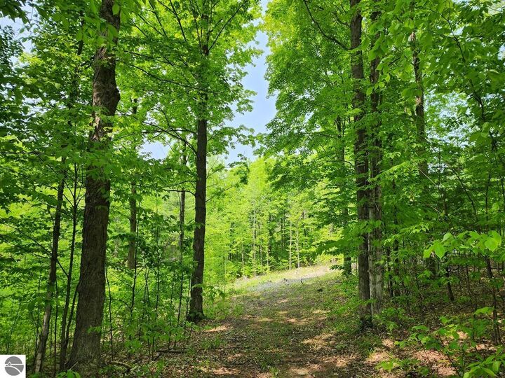 Property Photo:  V/L Ravens Roost  MI 49684 