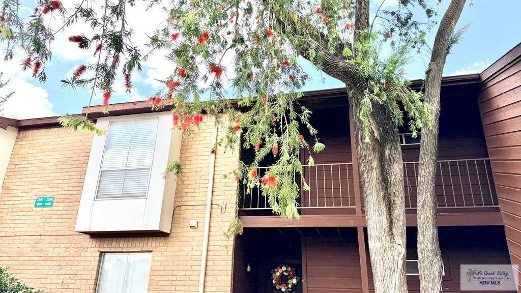 Property Photo: 4601 Carmen Ave. 2204 TX 78575