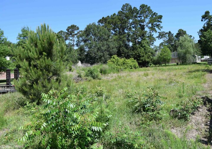 Property Photo:  11050 Michael Ln  TX 77705-0000 