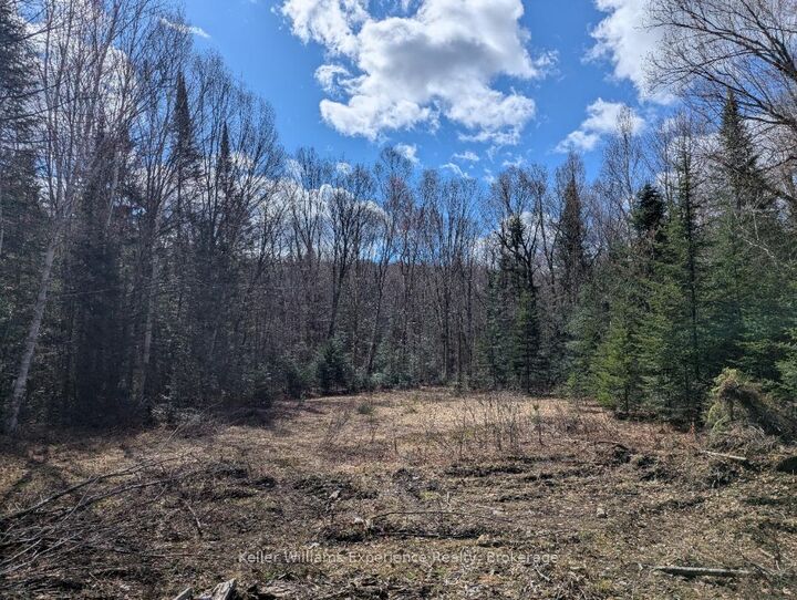 Property Photo:  1397 Echo Ridge Road  ON P0A 1M0 