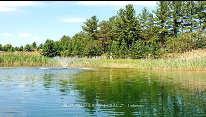 5216 County 90 Road 65 — photo 1