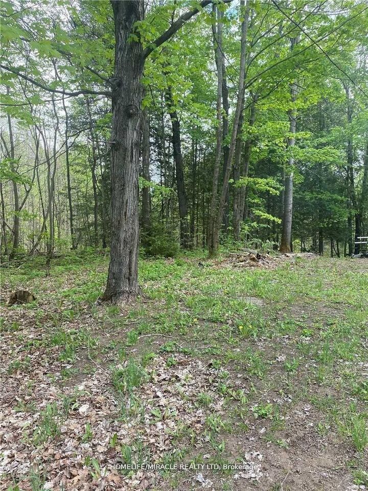3460 Harburn Road — photo 1