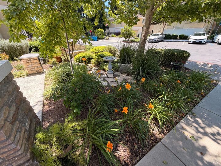 Property Photo:  113 Coulter Way  CA 95687 