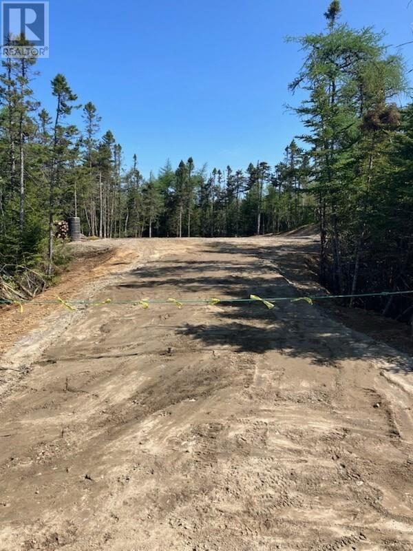 Property Photo:  Lot No. 36 Goose Pond  NL A0B 0C2 