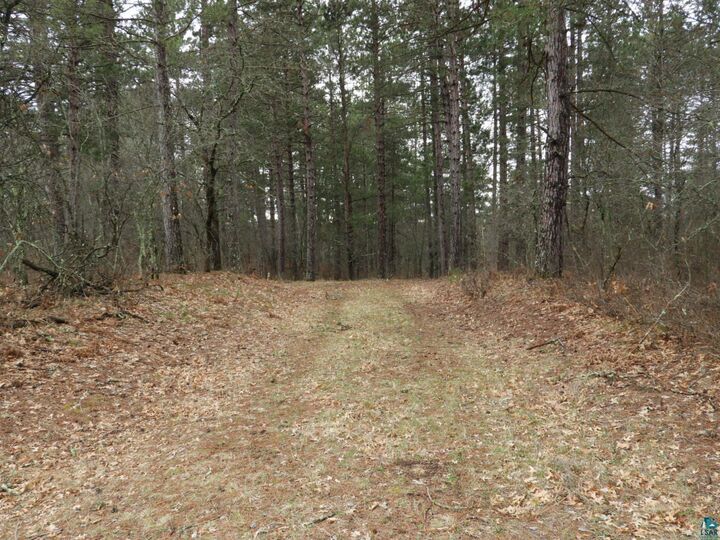 Property Photo:  Xxxx Wilderness Ct  WI 54873 