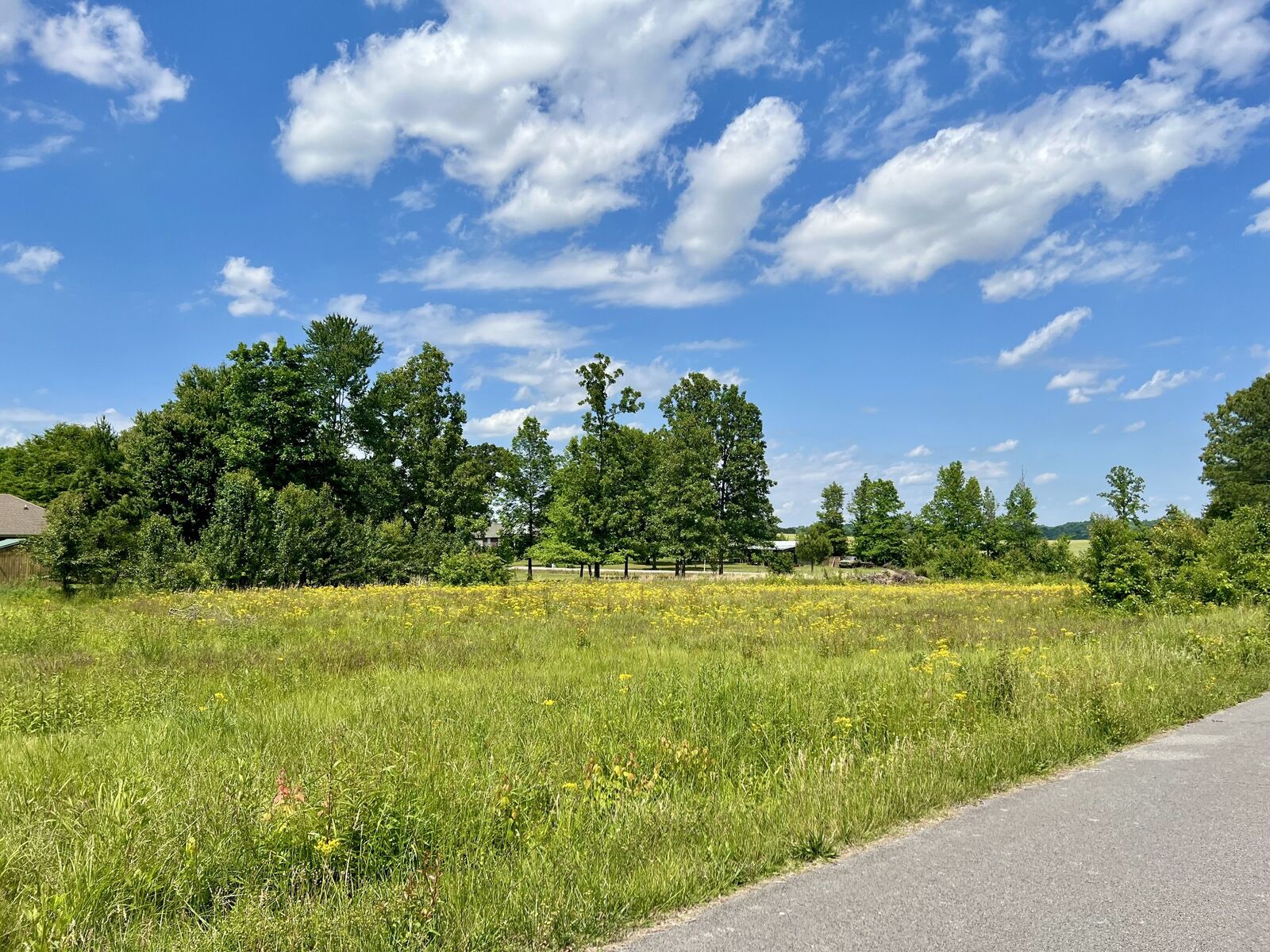 Property Photo:  0 Salem Lane  TN 38464 