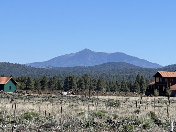 Property Photo:  13294 Dog Haven Place  AZ 86018 