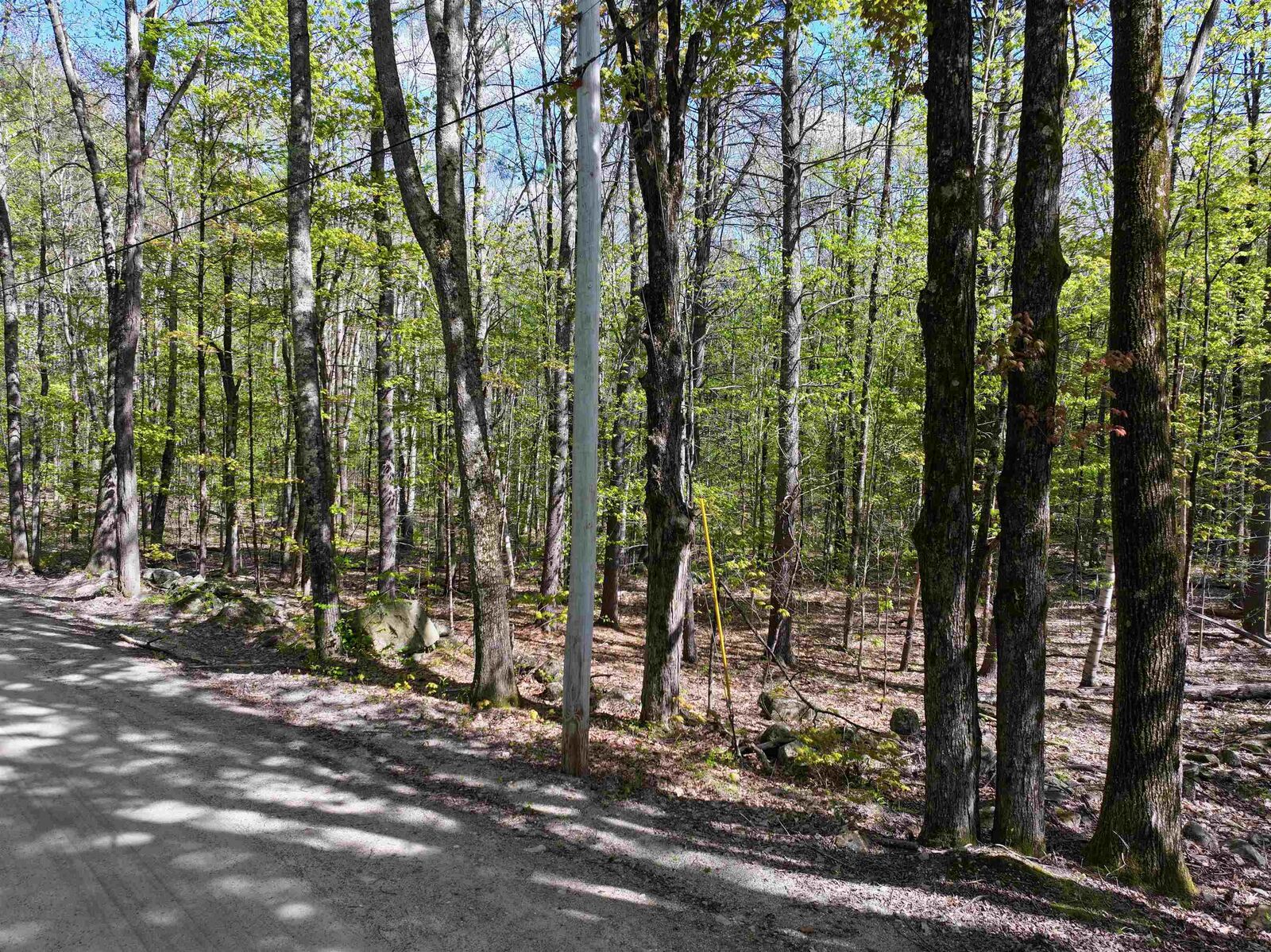 Property Photo:  00 Poor Farm Road  NH 03281 