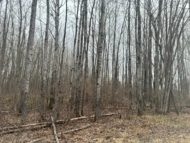 Property Photo:  Xxx Frazer Road  MN 56631 