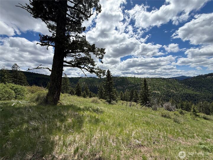Property Photo:  0  Toroda Creek Road  WA 98859 