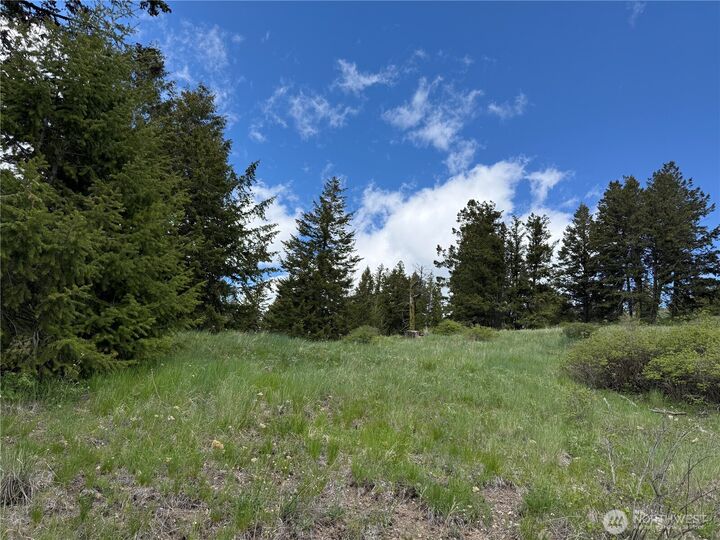 Property Photo:  0  Old Sheridan Road  WA 98859 