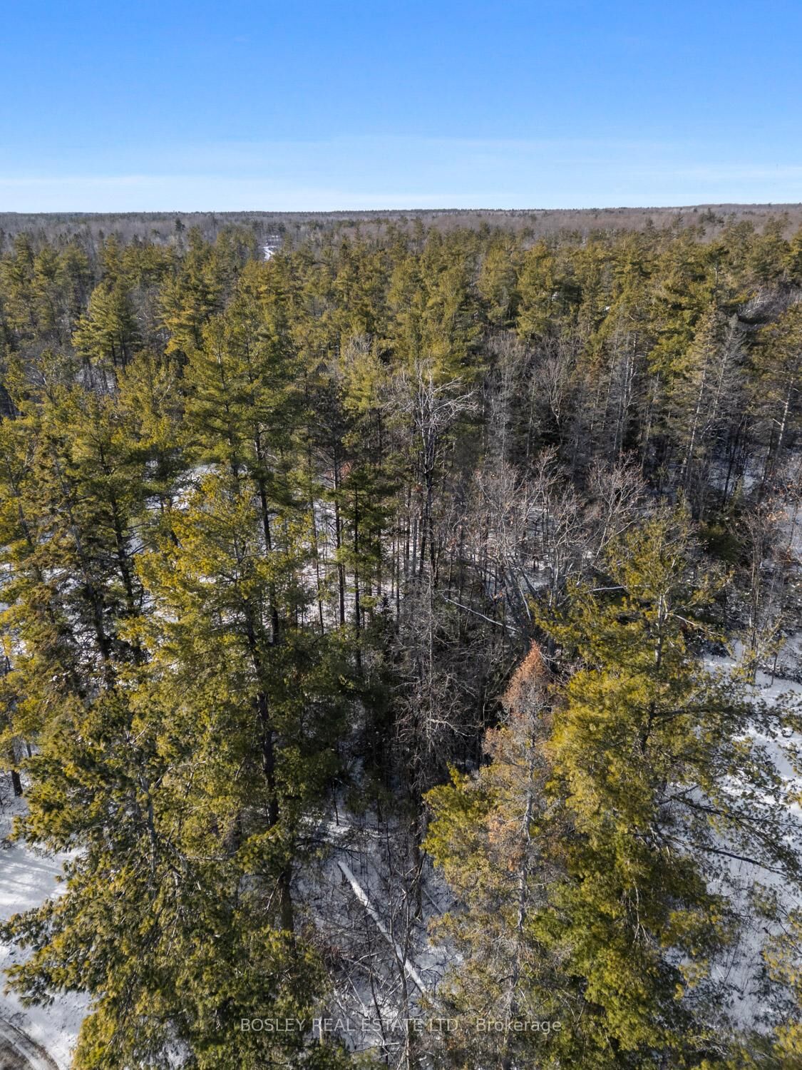 Property Photo:  00 Pineview Court  ON K0K 2M0 
