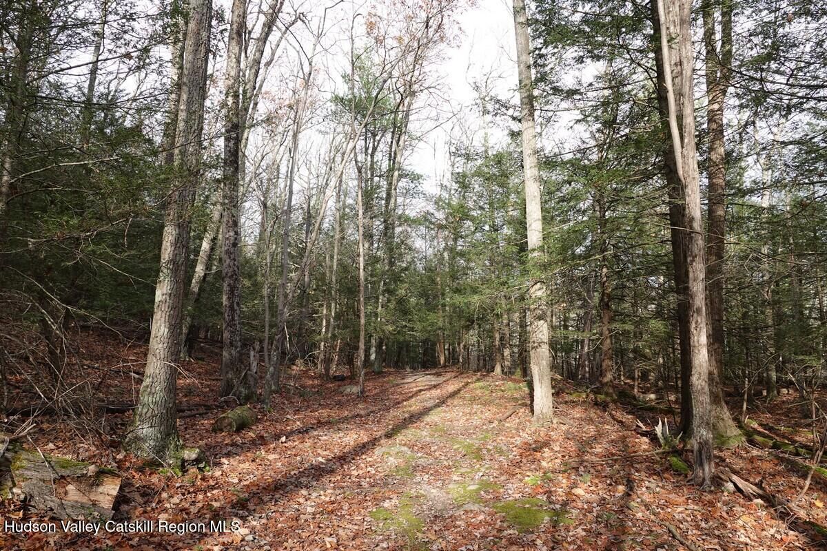 Property Photo:  738 Manorville  NY 12477 