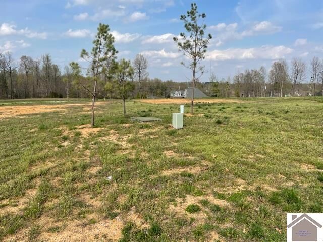 Property Photo: 205 Falling Brook Dr KY 42003