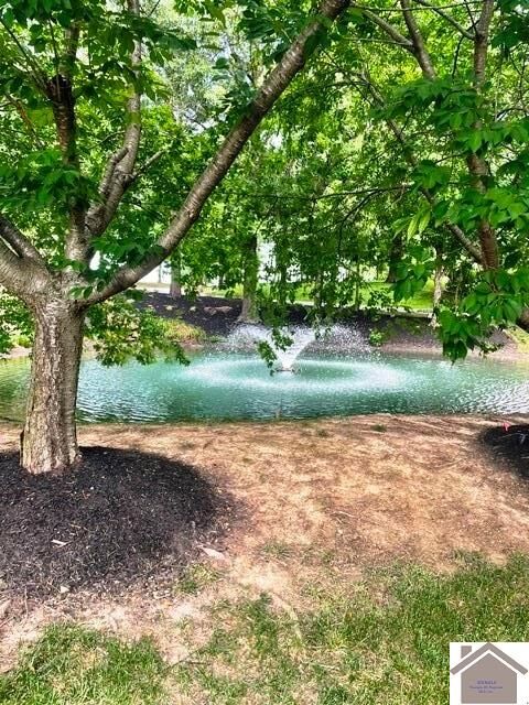 Property Photo: 205 Falling Brook Dr KY 42003