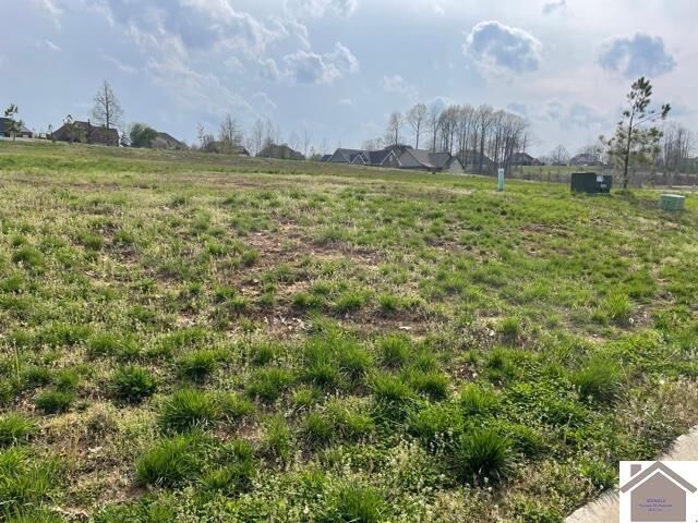 Property Photo: 160 Low Ridge Lane KY 42003