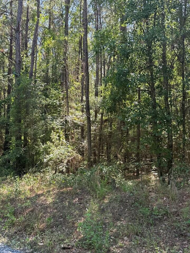 Property Photo:  000 Appian Way  GA 31716 