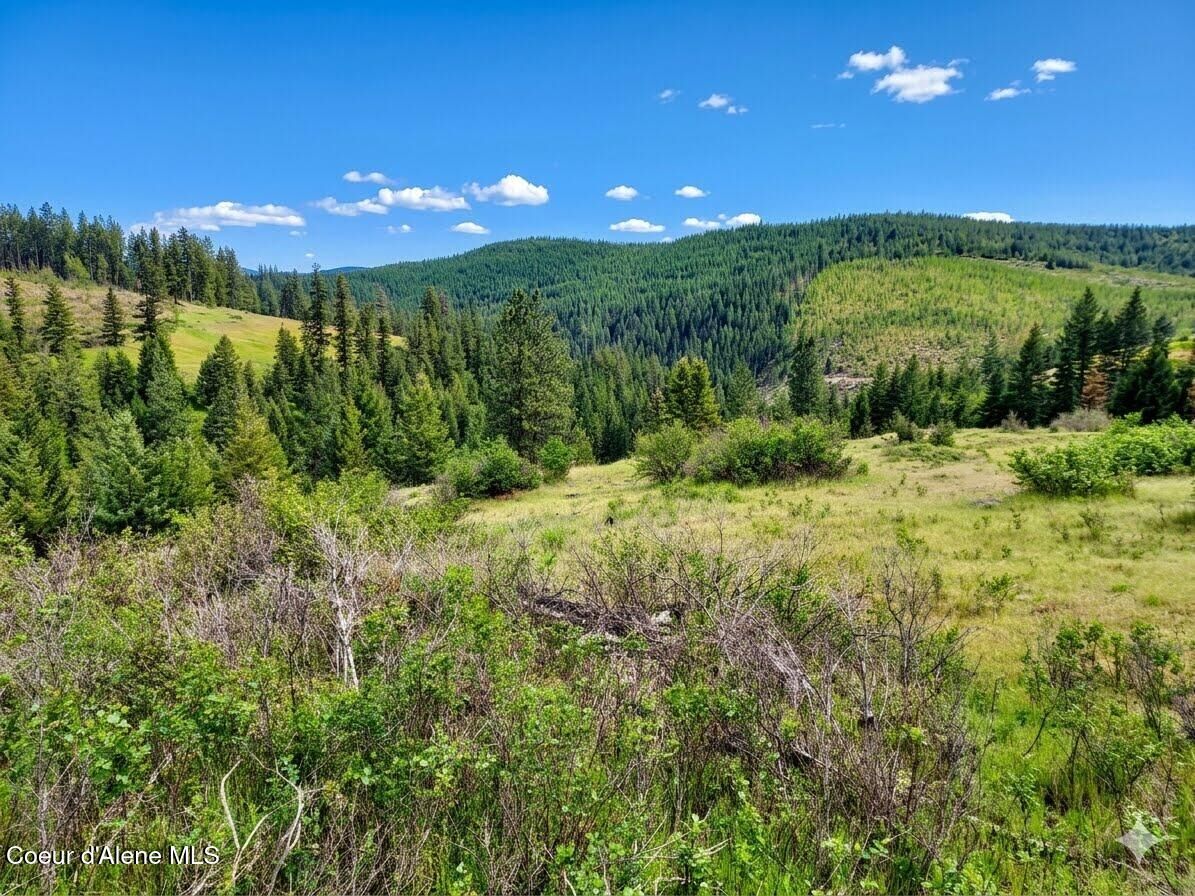 Property Photo:  Nka Dorning Dr  ID 83861 