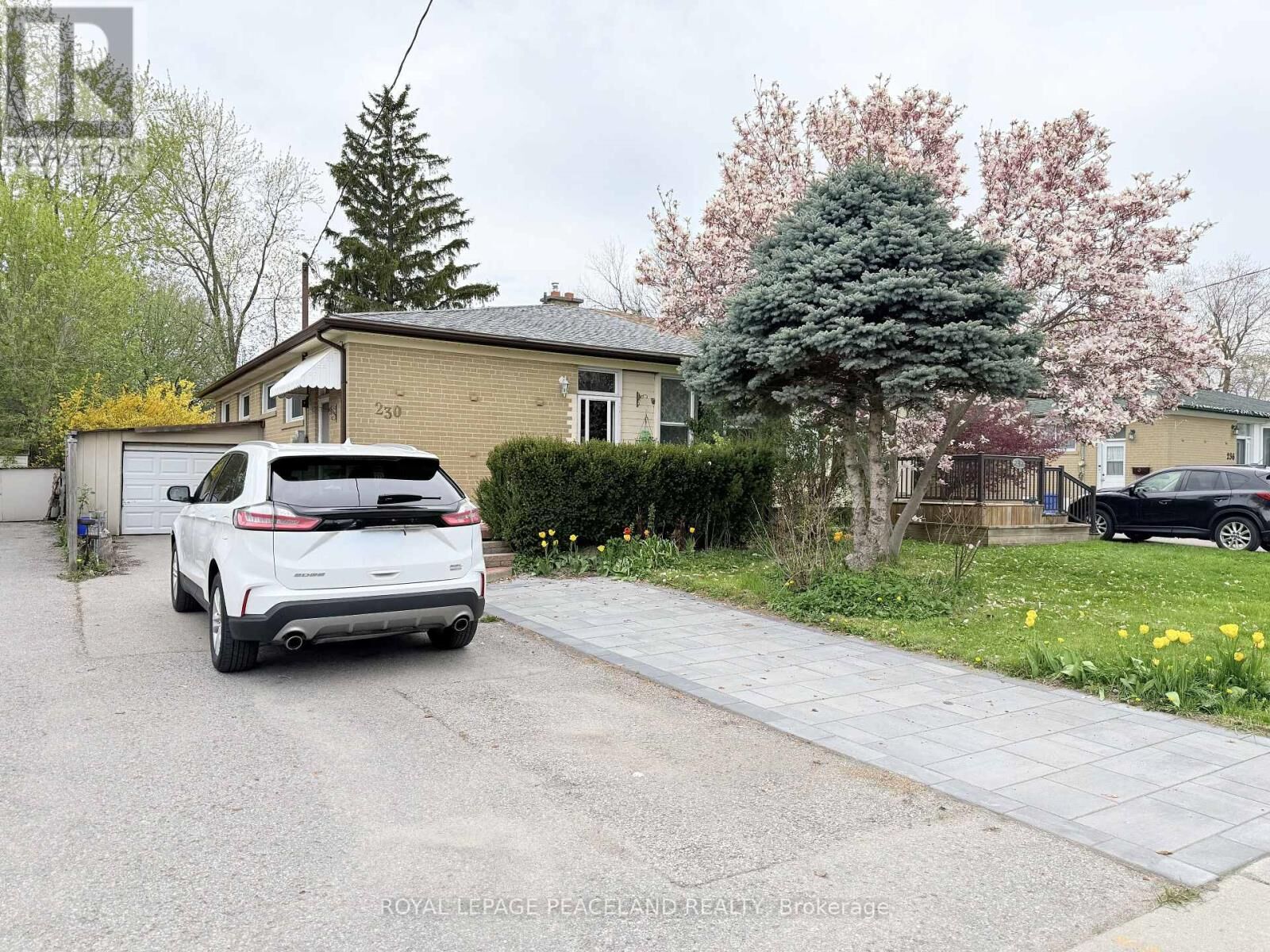 Property Photo:  230 Axminster Drive Basement  ON L4C 2W1 
