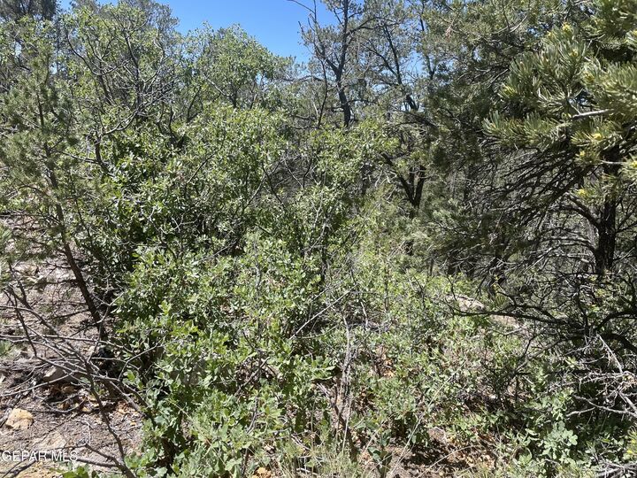 Property Photo:  60 Canyon Road  NM 88350 