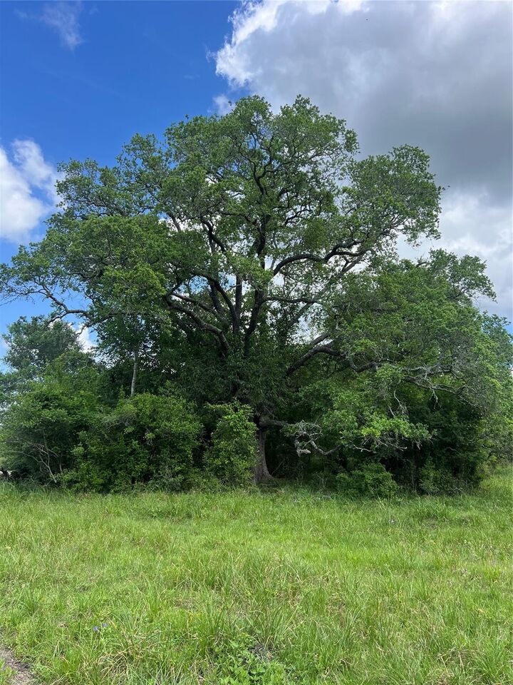 Property Photo:  14113 Peters Road  TX 77461 